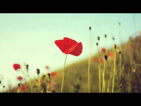 Alex H – Arion (Original Mix)
