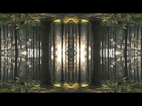 Alex H Duncan: Subcubensis (Felix Jupiter Remix)