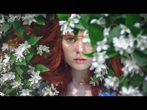 Alex H  – Evey (Original mix)[Synth Collective]