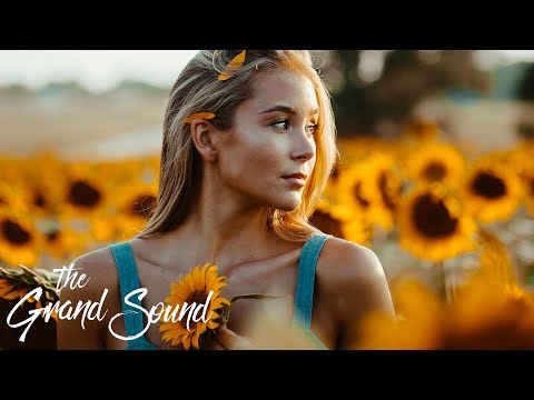 Alex H & Lumidelic – Never Too Late