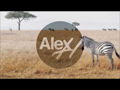 Alex H – Masvingo (Original Mix) Coming soon..