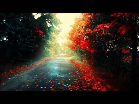 Alex H – Right in the Feels (Original Mix) Progressive House Worldwide