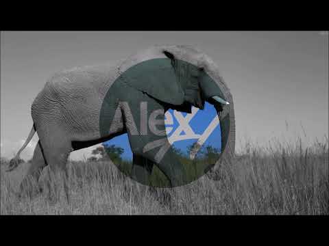Alex H – Shurugwi Part 2 (Original Mix)