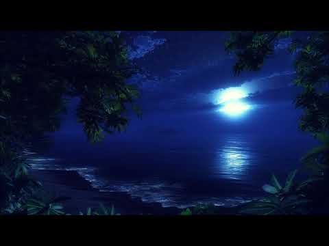 Alex H – Sleepless Nights (Original Mix)
