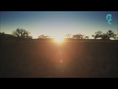 Alex H – Thank You (Original Mix) [Video]