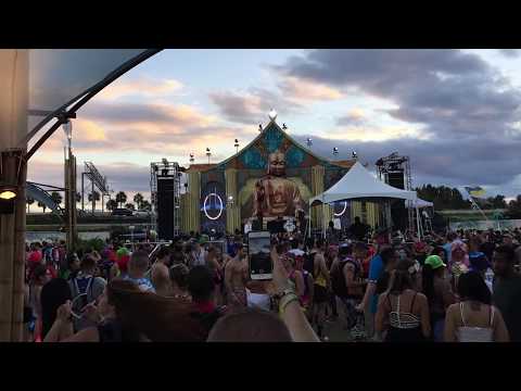 Ilan Bluestone @ EDC Orlando 2015 (Clip)