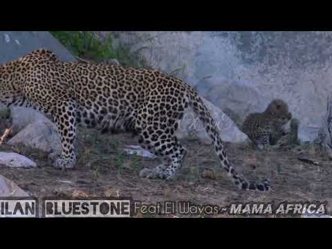 Ilan Bluestone feat EI Wavas – Mama Africa