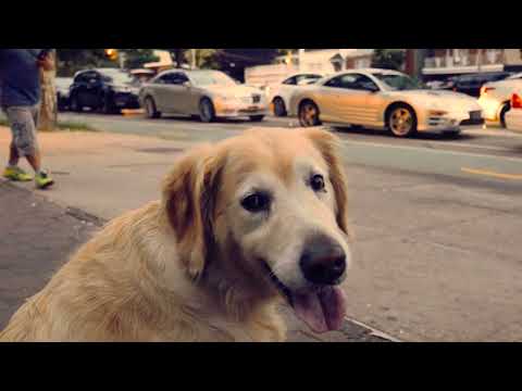 ilan Bluestone & Maor Levi feat  EL Waves   Will We Remain Spencer Brown Remix