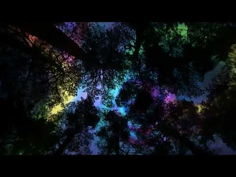 ilan Bluestone & Maor Levi feat. Gid Sedgwick – Can You 432hz