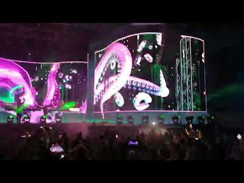 ILAN BLUESTONE "We Are Free" @ Sunrise Festival 2022