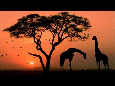 Pierce Fulton  – Kuaga (Alex H remix) EXCLUSIVE