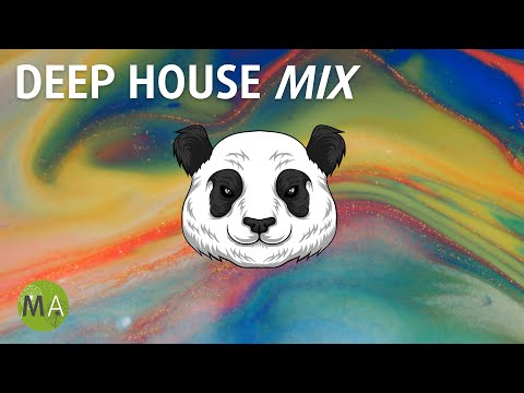 Upbeat Study Music Deep House Mix for Peak Focus – Isochronic Tones