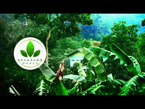 30 mins Enchanted Forest Music & The Best Celtic Mystique Music for Deep Relaxation Piano Music