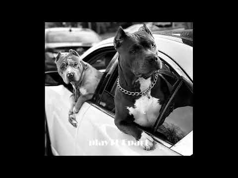 50Cent x Eminem x Snoop Dogg x Dr. Dre 2Pac x Biggie x Ice Cube x Eazy-E – Without Me (REMIX)