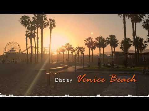 AcidTrax   Venice Beach