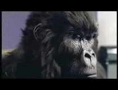Cadbury advert NEW VERSION! Apologize – Timberland