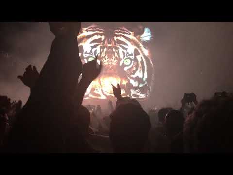 Fatboy Slim live @ Alexandra Palace (Eye of the Tiger)