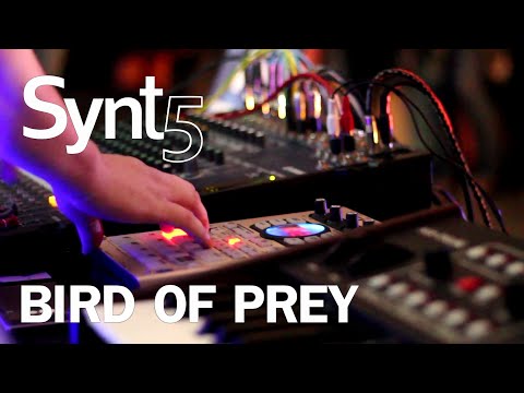 Fatboy Slim – Sunset (Bird of Prey) [Live synth cover]