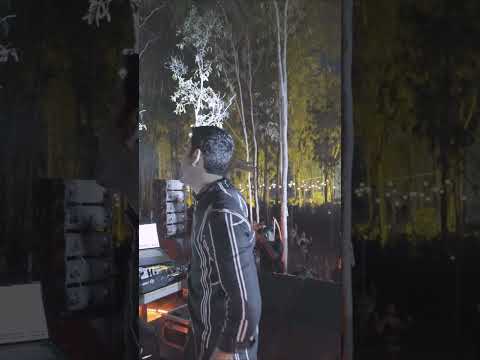 Partying in the trees with Anyasa 🌙 #Anjunadeep #Shorts