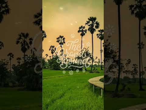 Aaron Dmitriew – Fuel #shorts
