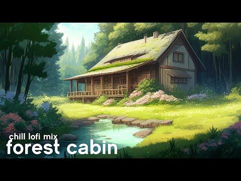 Forest Cabin 🌿 Chill lofi mix