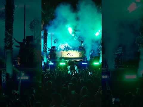 Raving under the stars with Marsh 💫 #Anjunadeep #Shorts