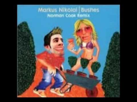 markus nikolai – bushes (norman cook rmx)