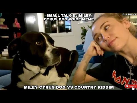 @MileyCyrus DogBull Voice Vs Country Riddim [Small Talk Mp3 Dj Meme 2023] (Dj LRRL 1.8 Remake)