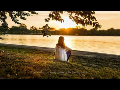 Paul van Dyk and Aly & Fila feat Sue McLaren – Guardian (Subtitulada Al Español)