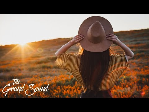Progressive House · Relaxing Focus Music 🧠✍️ · 24/7 Live
