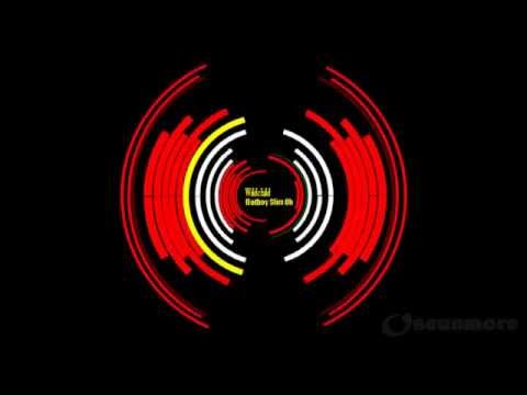 Renegade Master (Fatboy Slim Old Skool Mix) – Wildchild