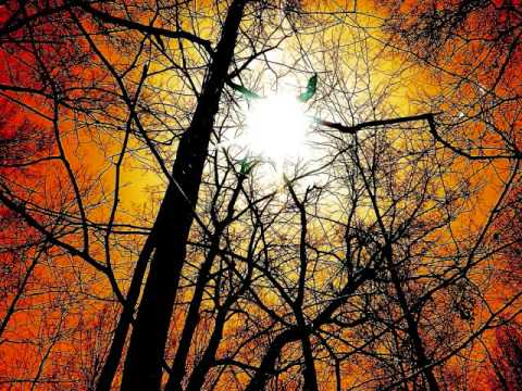 Vast Vision feat. Fisher – Everything (Aly & Fila Remix)