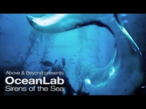 Above and Beyond pres Oceanlab – Sirens Of The Sea