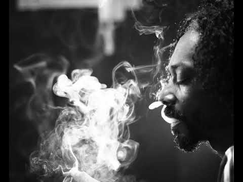 (AI Music) Snoop Dogg – Up in Smoke (Prod by Dr.Dre, remade by Product Of Tha 90s)