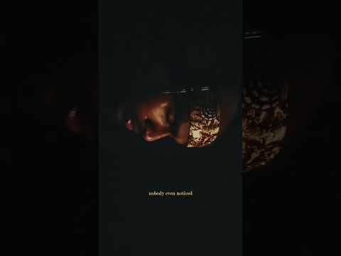 Billie Eilish X SVDP – “everything I wanted” (remix)
