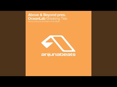 Breaking Ties (Above & Beyond Analogue Haven Mix)