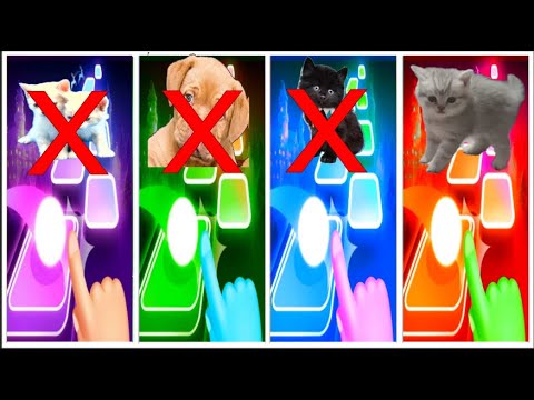 CUTE CATS WEDNESDAY LADY GAGA BLOODY MARY Funny Games Tiles Hop Funny kittens cats dogs