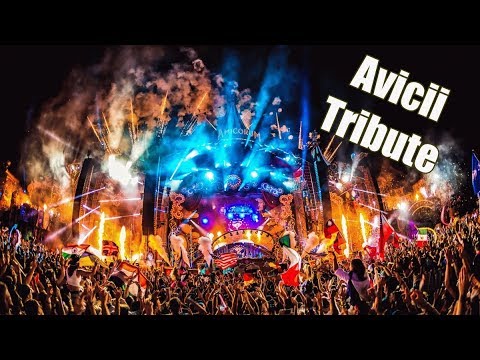 David Guetta: Titanium VS Avicii: Hey Brother (Afrojack Mashup) – Tomorrowland 2018