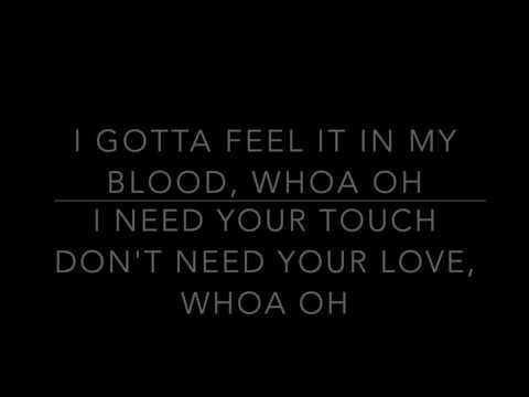 Def Leppard – Animal (Lyrics) HQ