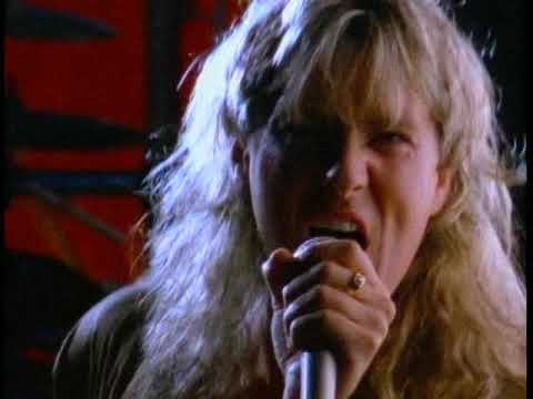 Def Leppard – Animal