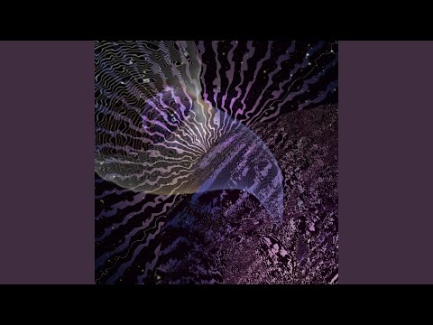 dinogroove