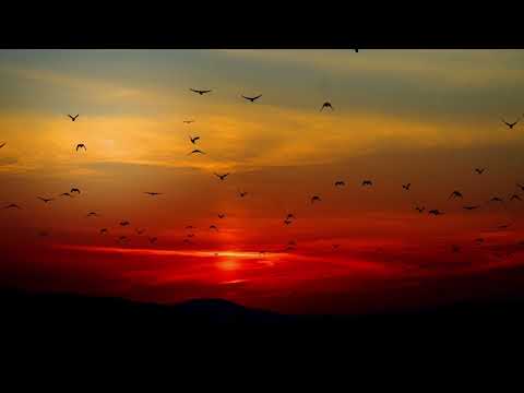 Ferry Corsten – Mind Trip (Armada Music)