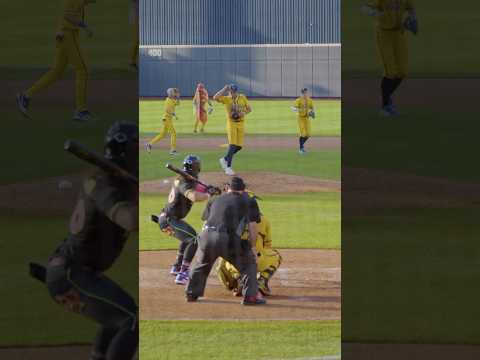 “Firework” Katy Perry In-Game Dance | Savannah Bananas 💛#shorts #dance #katyperry #baseball