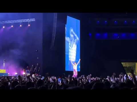 Harry Styles – Adore You | São Paulo 14/12/2022