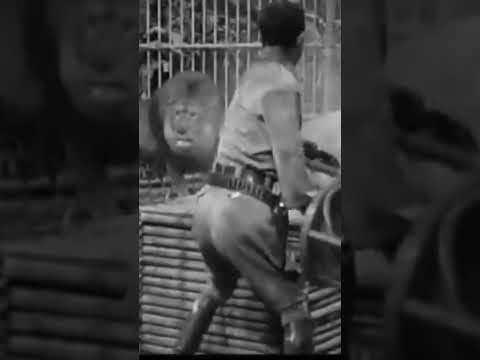 Clyde Beaty liontamer Africa screams #shorts