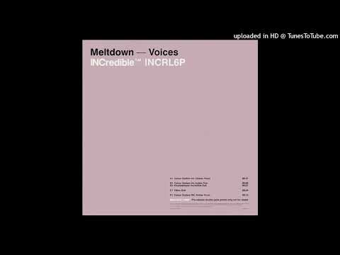 Meltdown – Voices (750cc Dub)