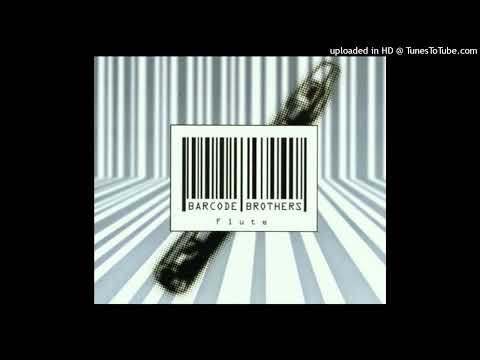 Barcode Brothers – Flute (Radio Edit)