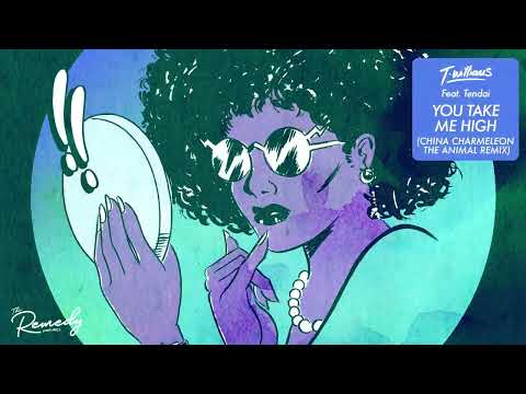 T.Williams feat. Tendai – You Take Me High (China Charmeleon The Animal Remix)