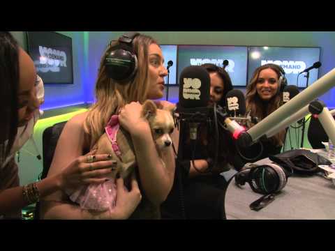 Little Mix Requests…. a puppy.