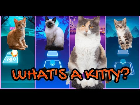 OK KITTY CUTE CATS  |  Bruno Mars – Harry Styles – Madonna – Shakira | Tiles Hop